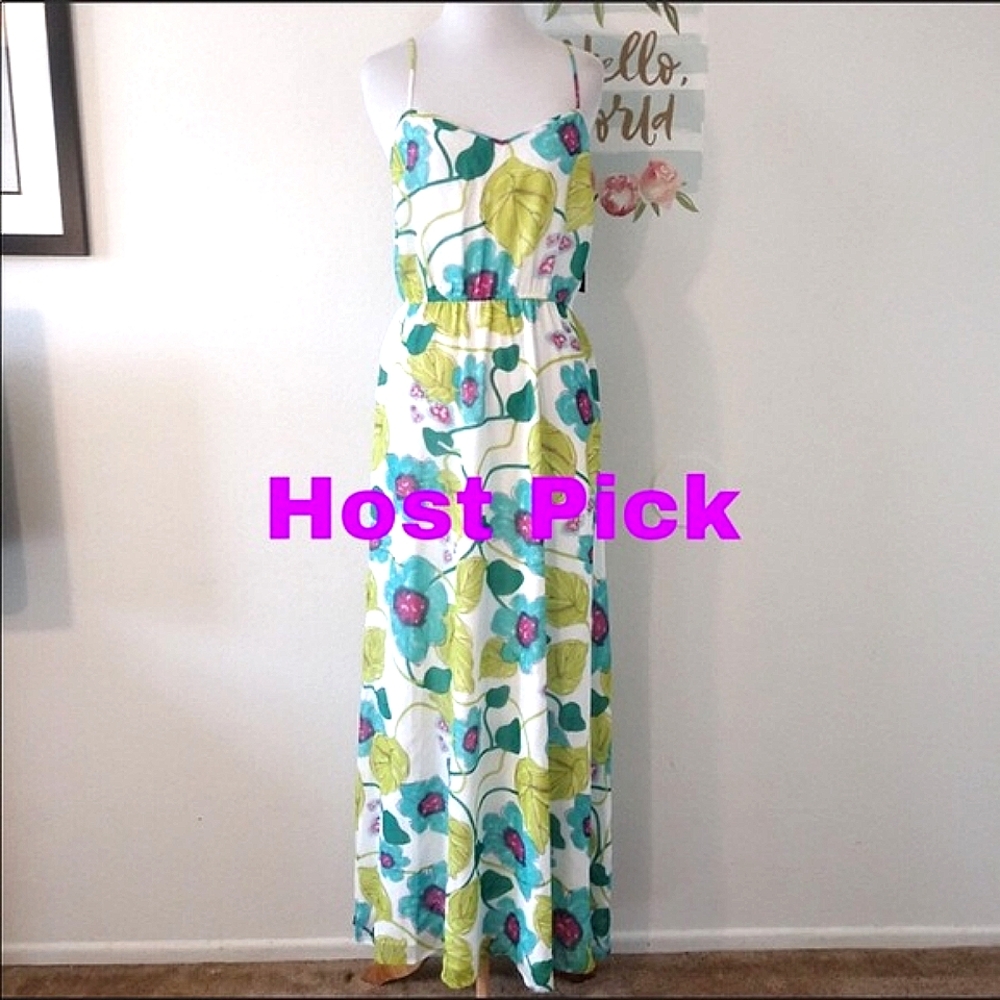 BB DAKOTA (STEVE MADDEN) maxi dress. 2 NWT